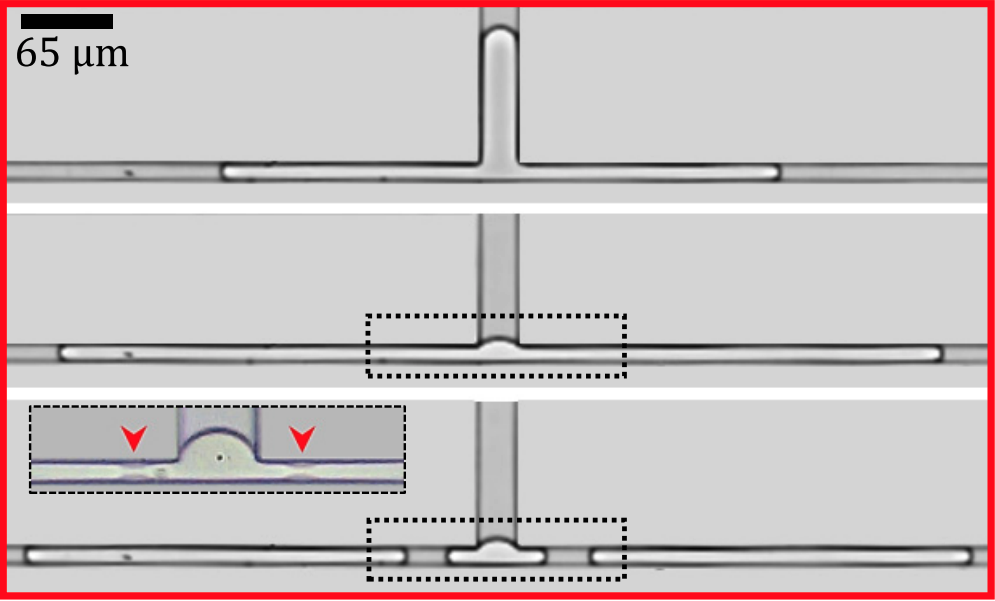 Droplet Breakup in T-Junctions