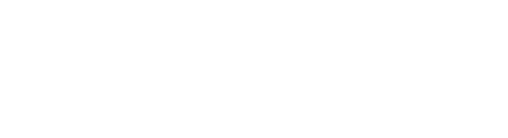 INPHYNI Logo